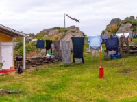 Keels, Nowa Fundlandia